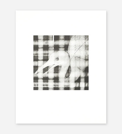 Michael Kenna: Shikoku collotype portfolio (pre-order signed copies)