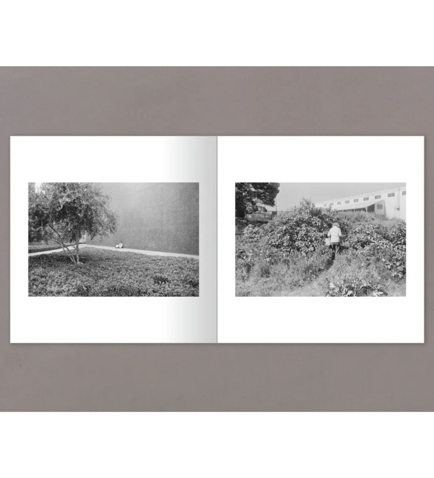 Henry Wessel, Austin Leong, Adrian Martinez: Soft Eyes (pre-order)