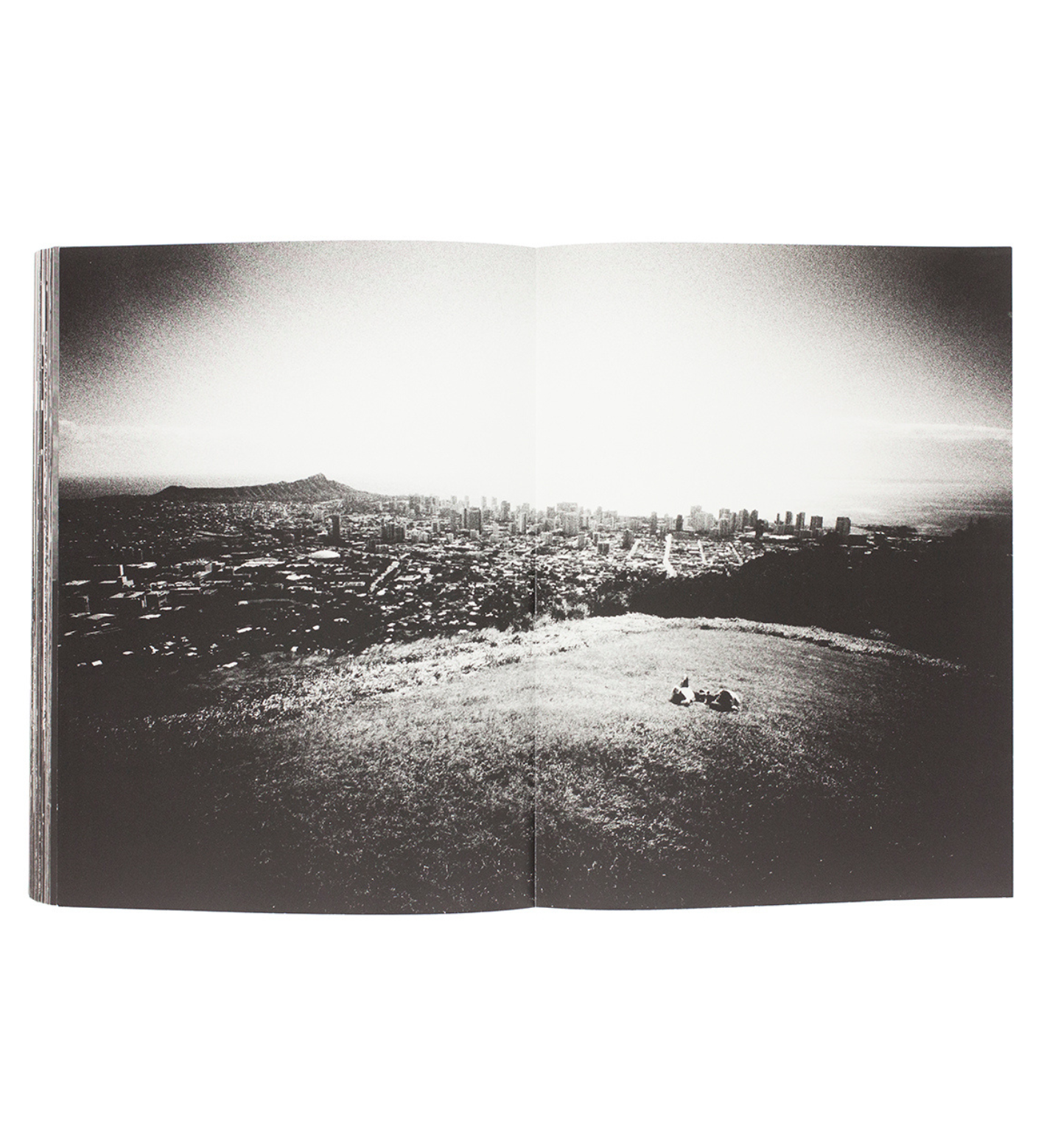 Daido Moriyama: Hawaii (out of print)