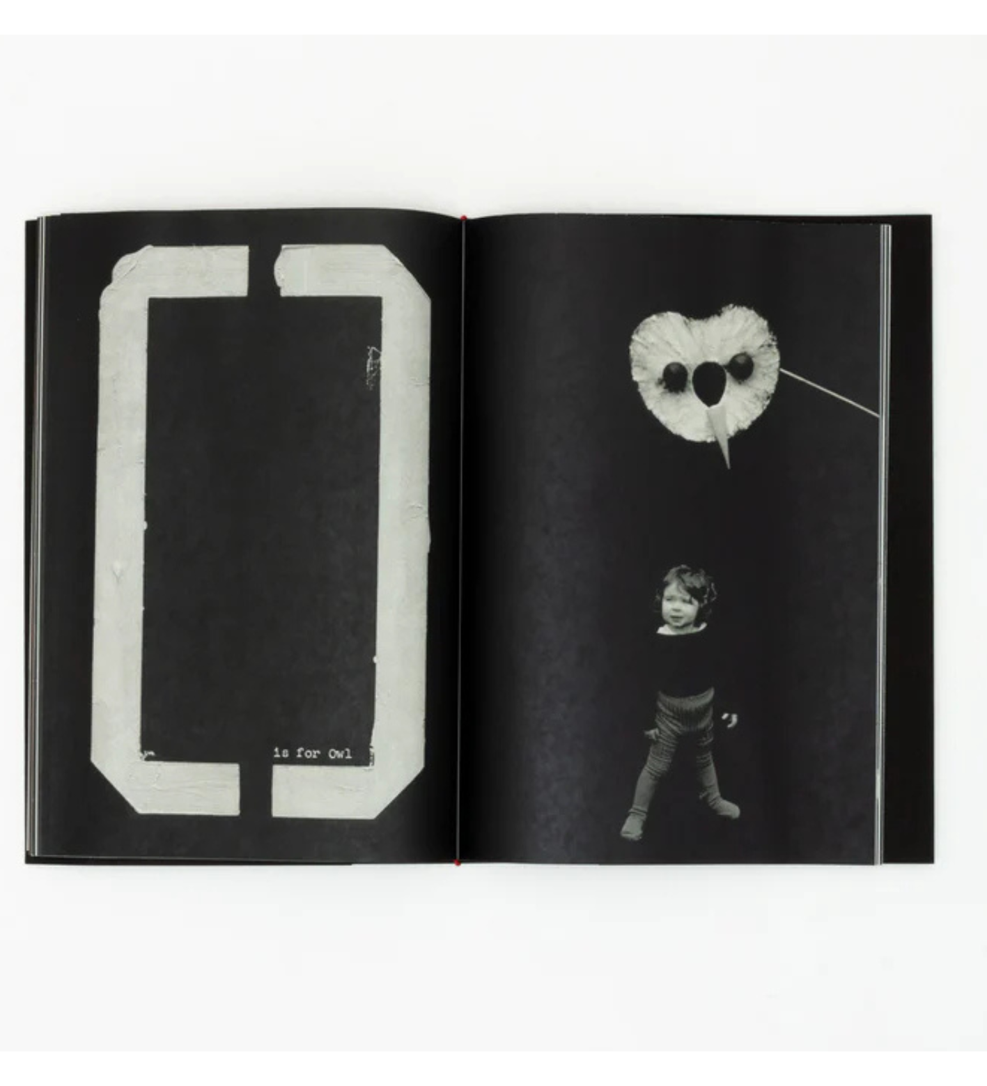 Jack Davison: A is for Ant Children's Edition (signed)