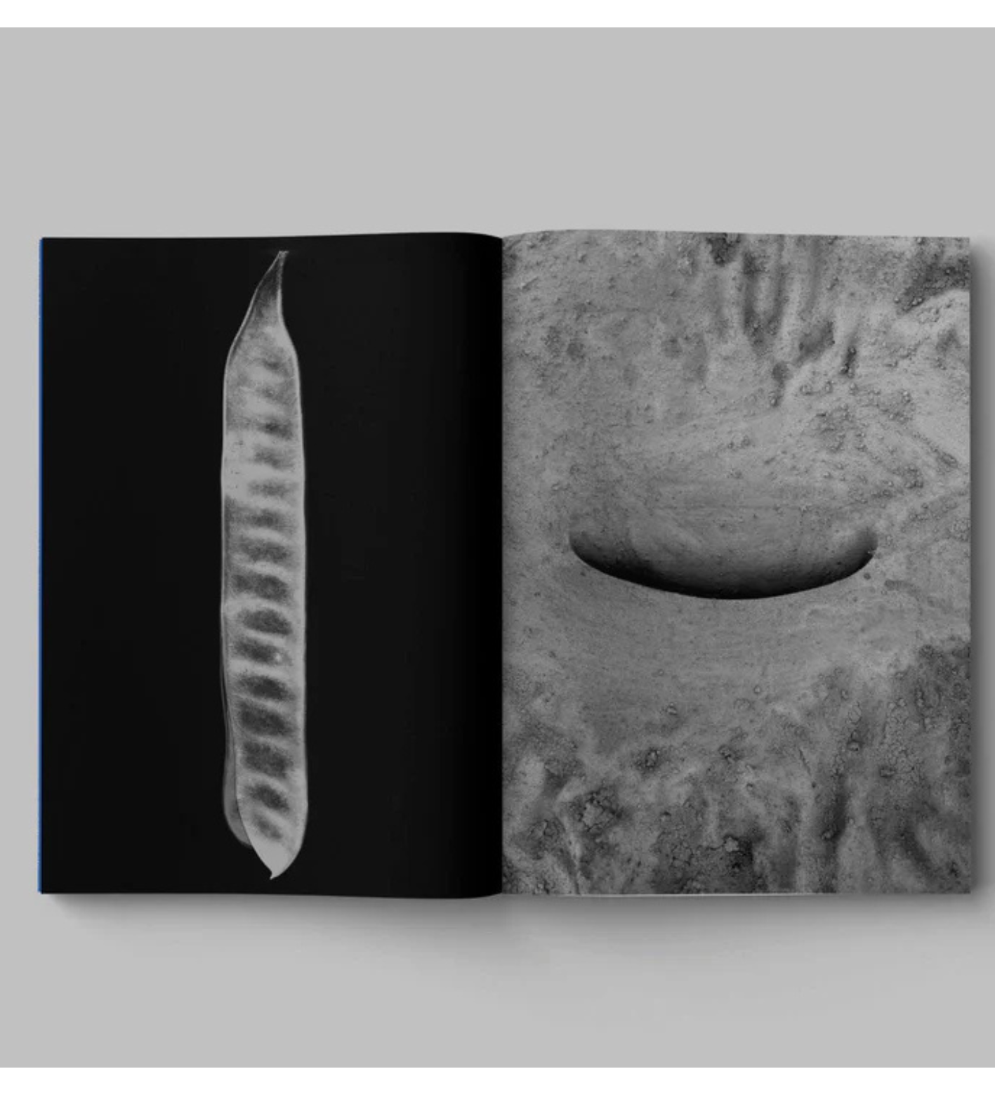 Paul Cupido: Drifting stones (signed & numbered)