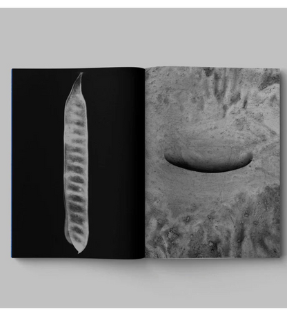 Paul Cupido: Drifting stones (signed & numbered)