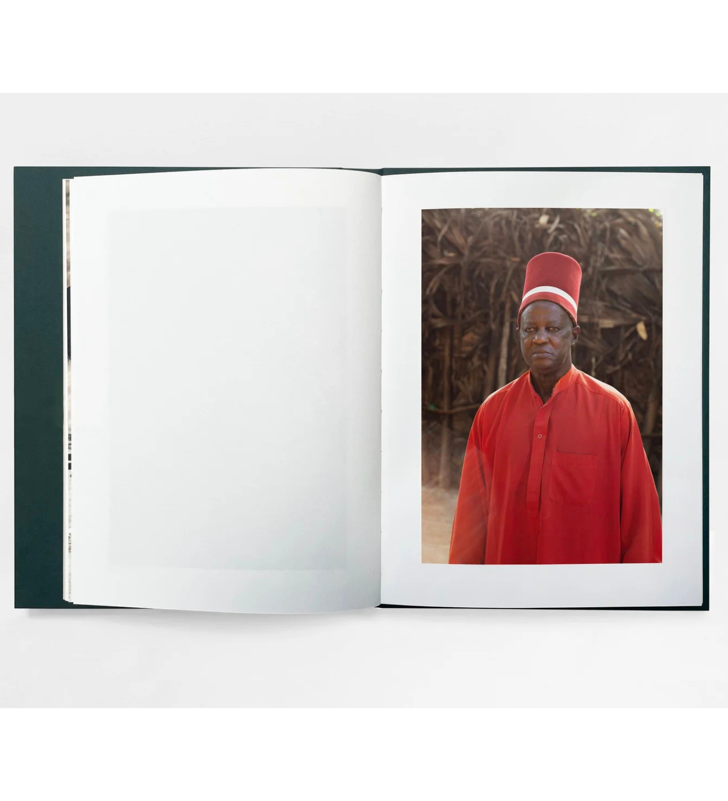 Henry Roy: The Land of Haunted Forests (with signed print)