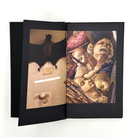 Boris Mikhailov: "...in search of window of Opportunity / Exodus..."