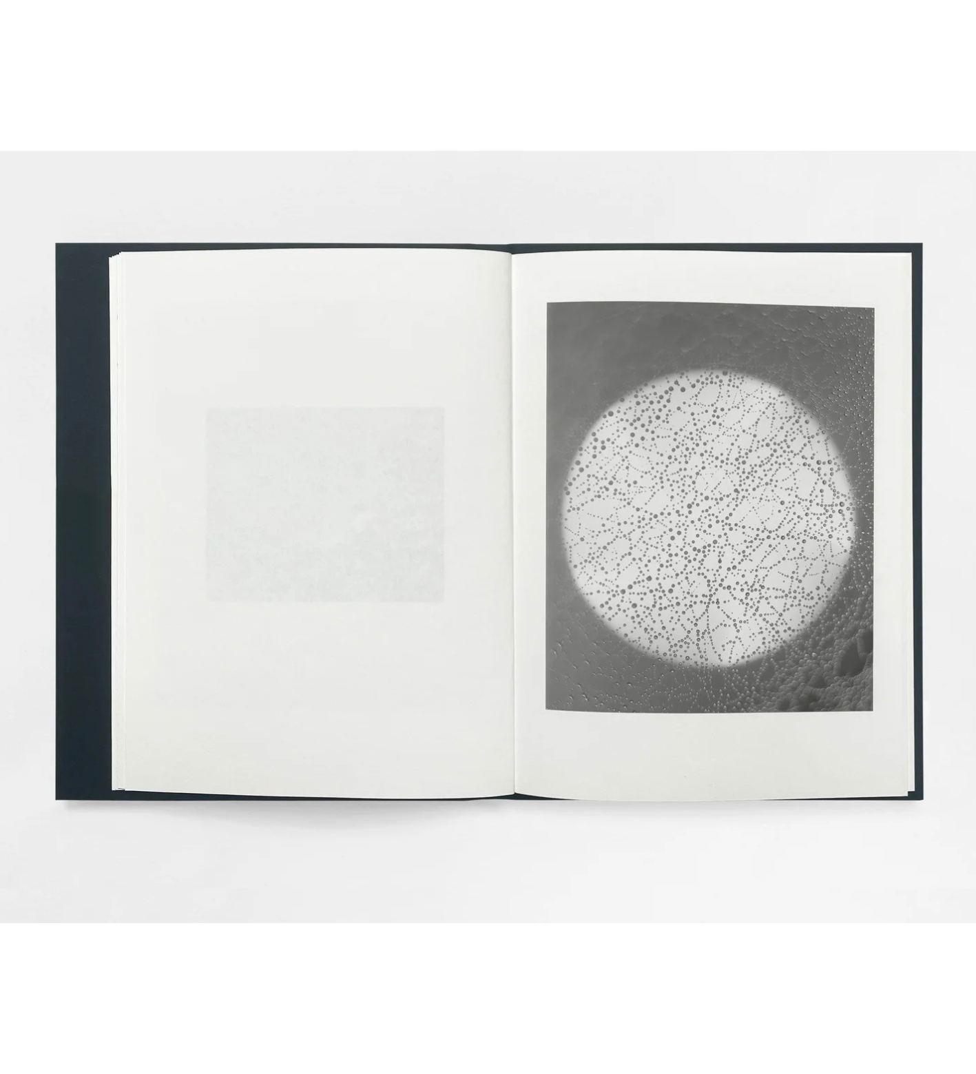 Sam Laughlin: Gathering Light (with signed print)