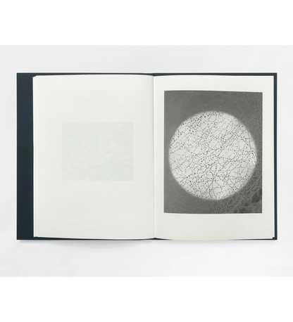 Sam Laughlin: Gathering Light (with signed print)