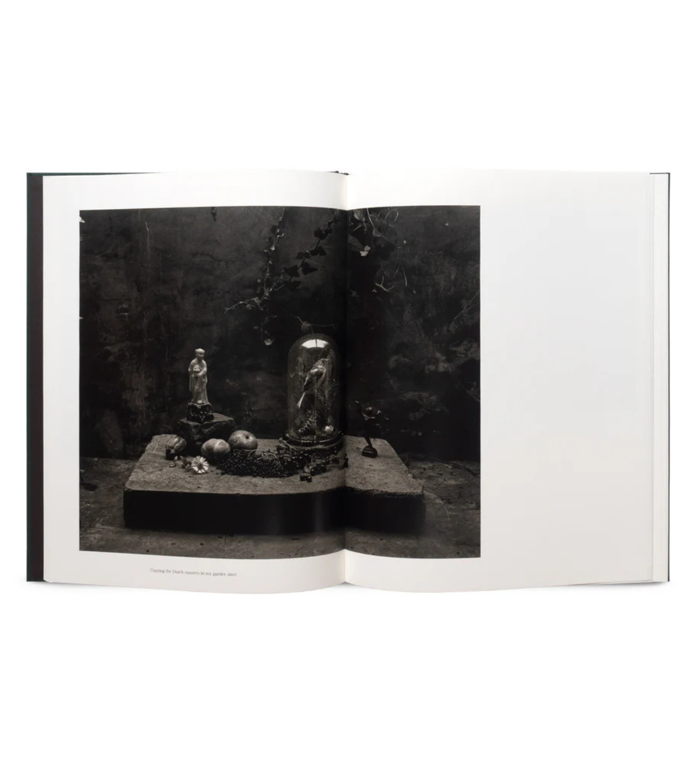 Don McCullin: The Stillness of Life