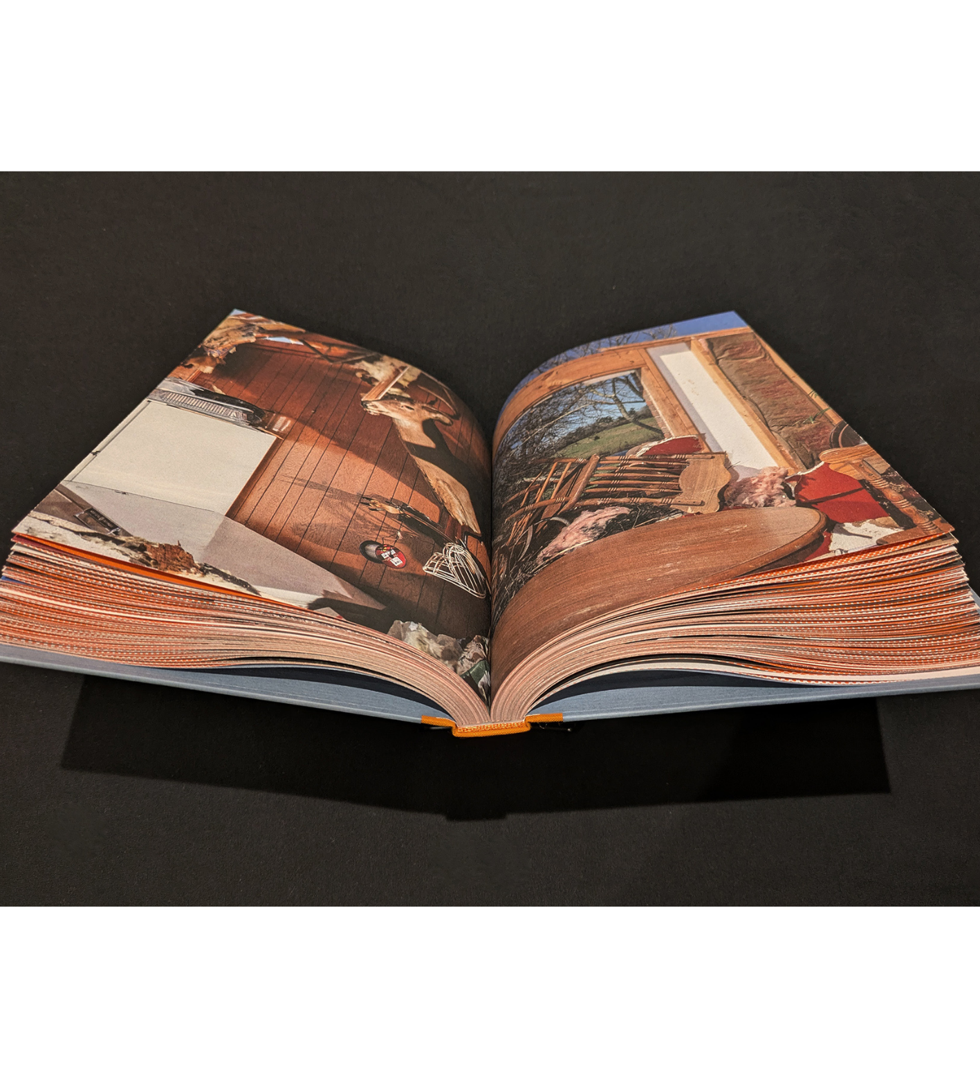 Bryan Anselm: Sound the Sirens