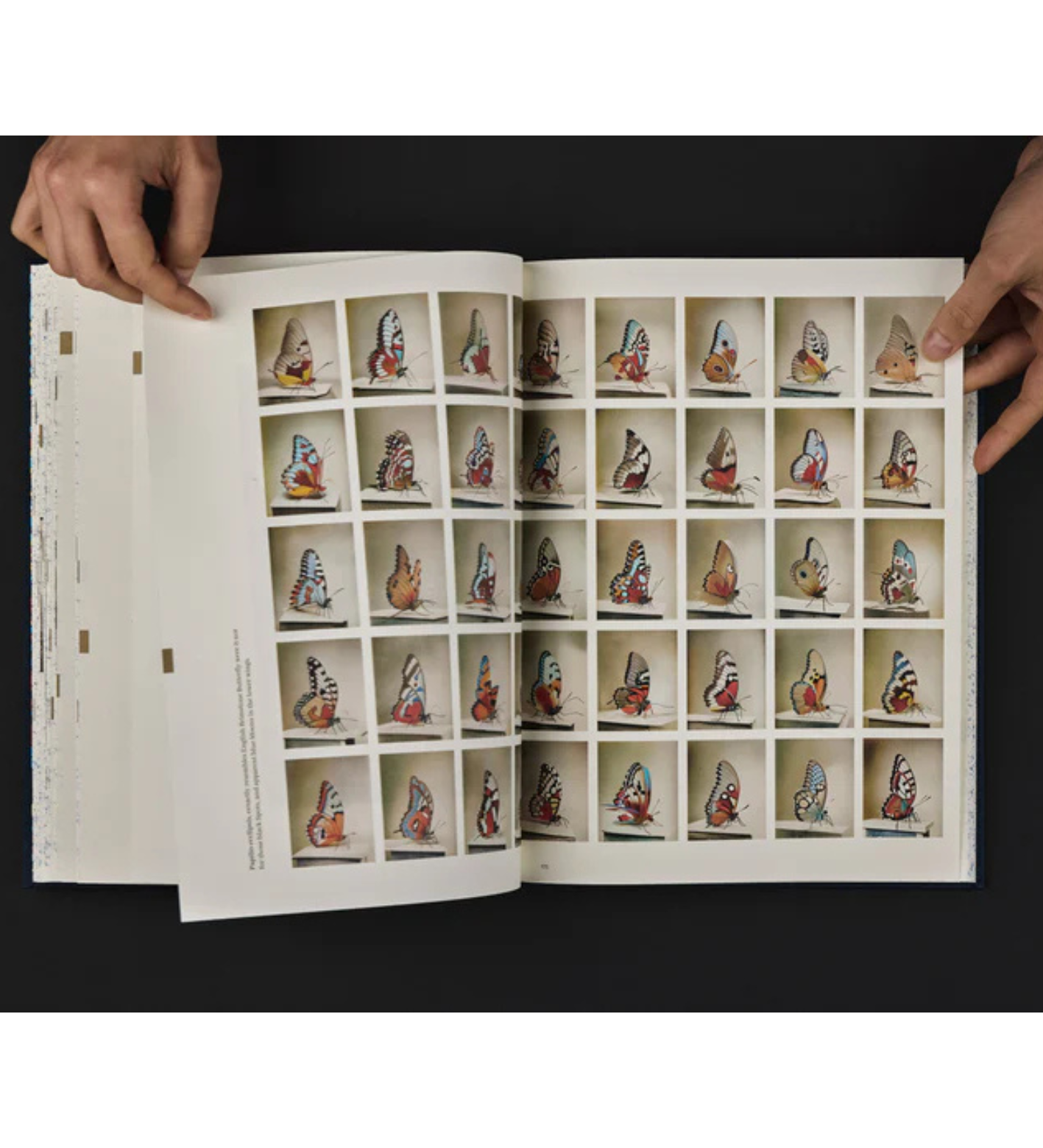 Weronika Gęsicka: Encyclopaedia