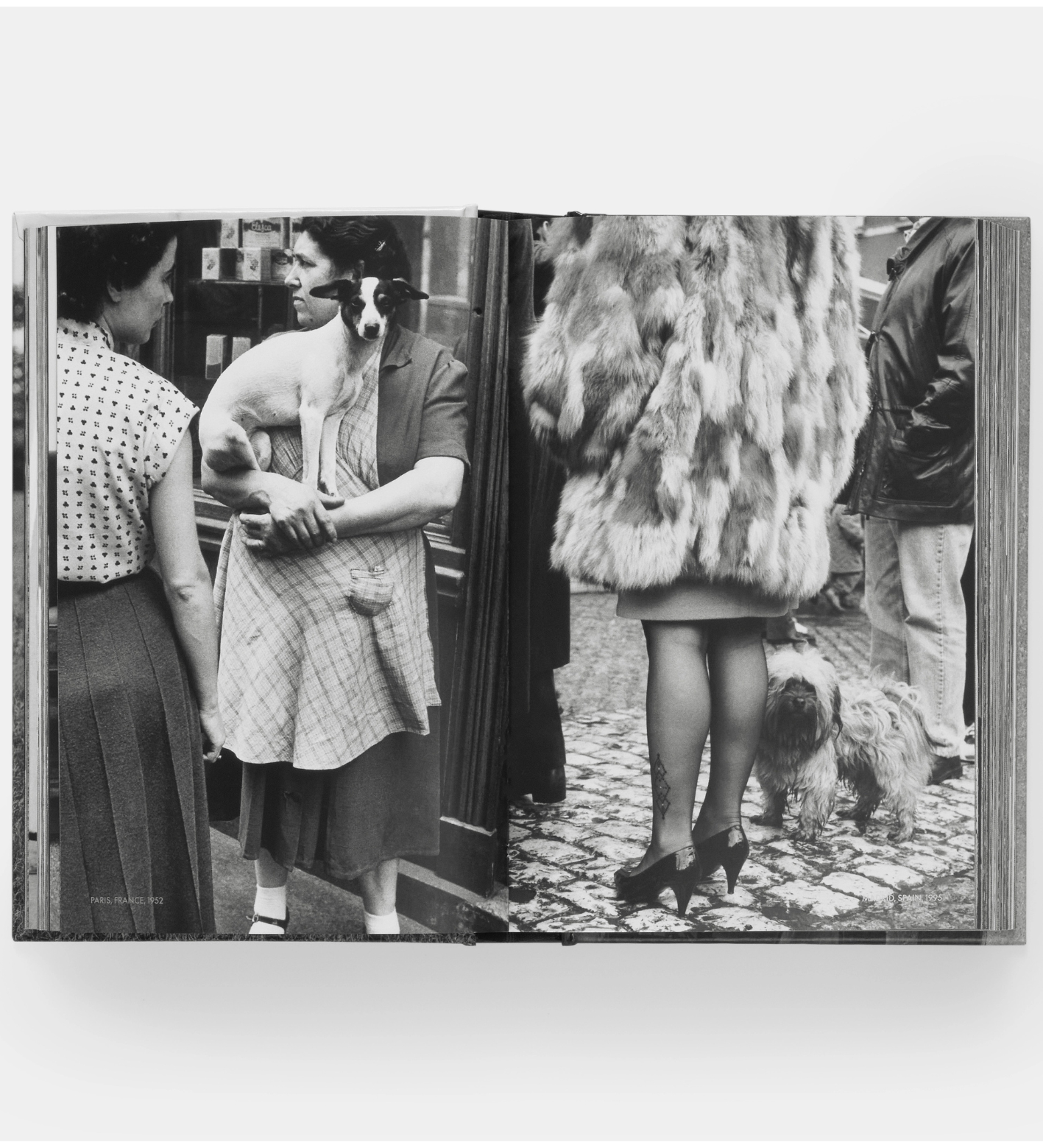 Elliott Erwitt: DogDogs