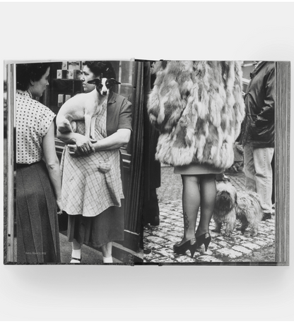 Elliott Erwitt: DogDogs