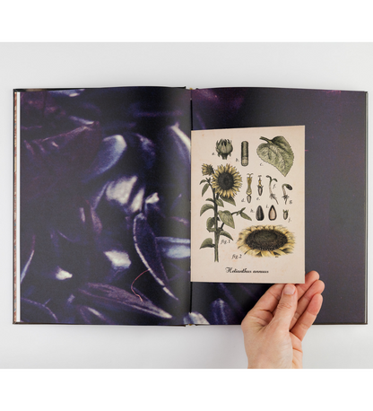 Marilene Ribeiro: Photo-Rituals for Disappearance (signed)
