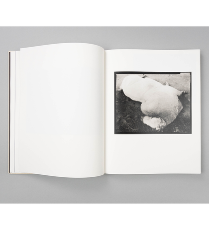 Rory King: Gumsucker (pre-order signed copies)