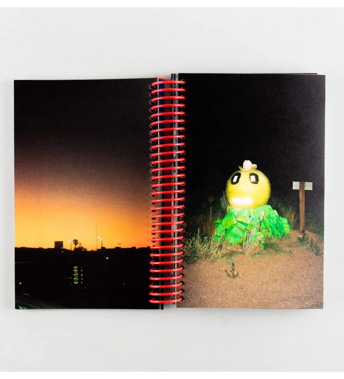 Louise Mutrel: DESERT GRILL DOLLAR TREE FOSSILS TRAP