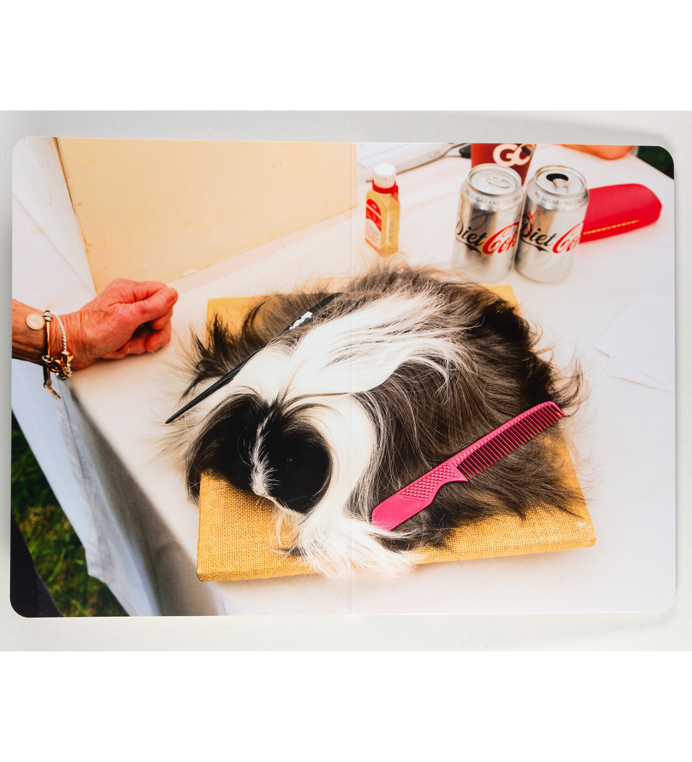 Martin Parr: Animals