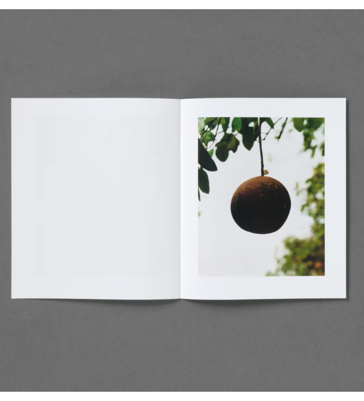 Roe Ethridge: In the Beginning