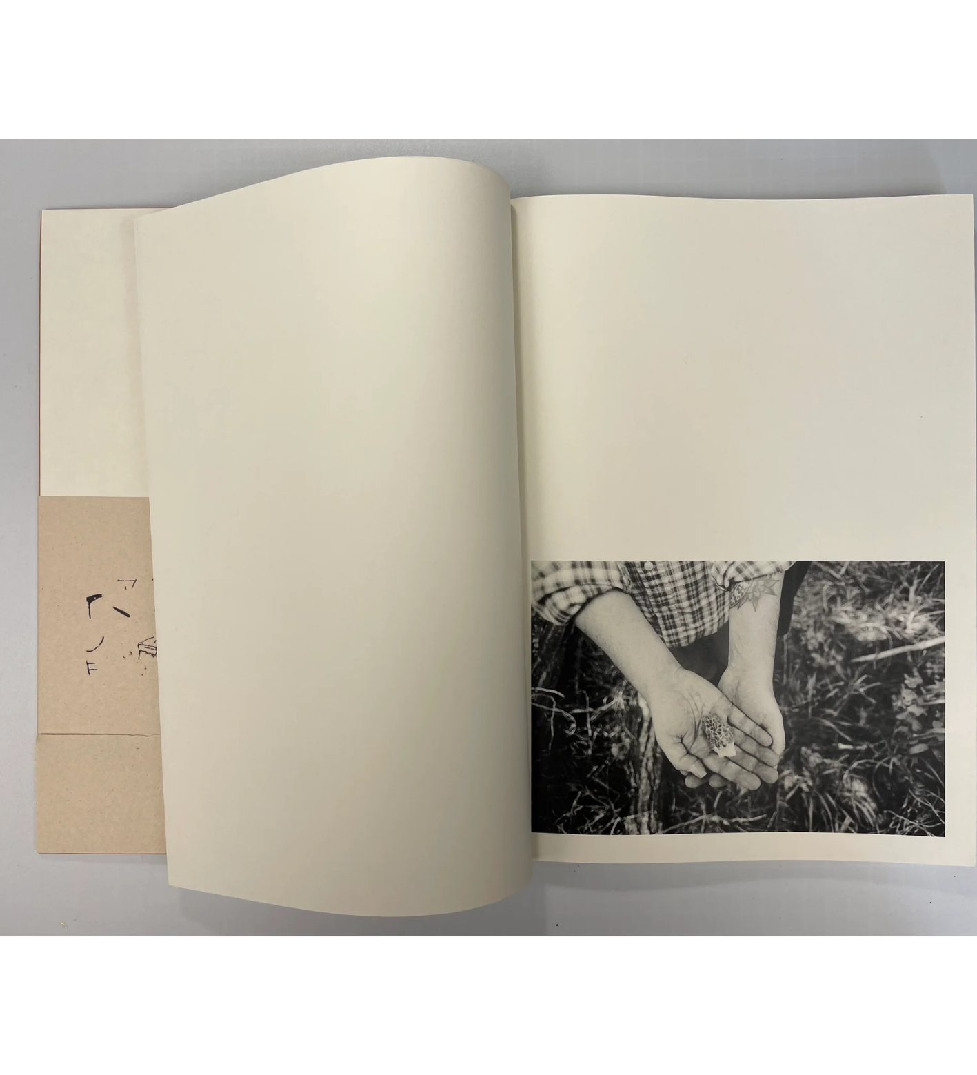 Reed Mattison: to and from (numbered with signed print)