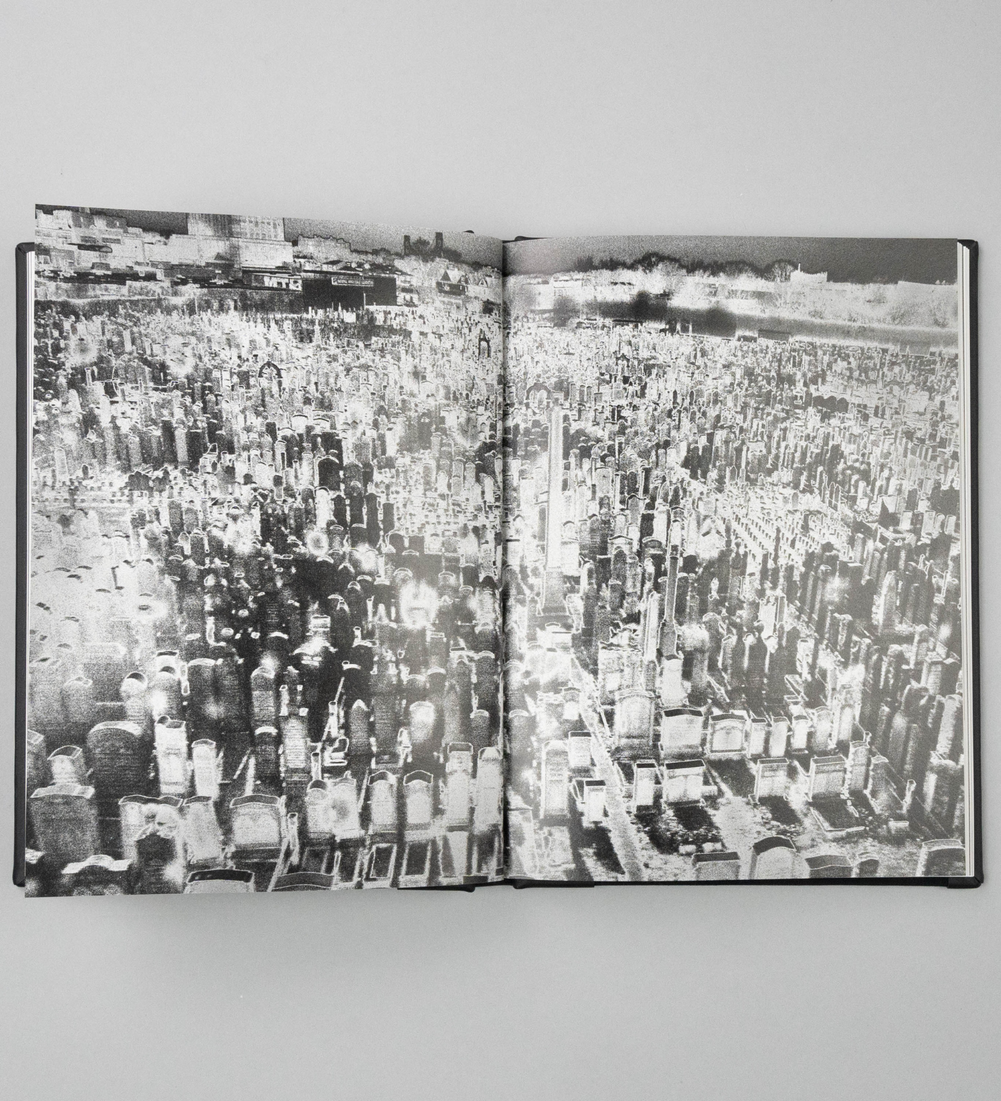 Anna Arendt: Vanishing (signed)