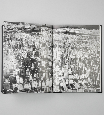 Anna Arendt: Vanishing (signed)