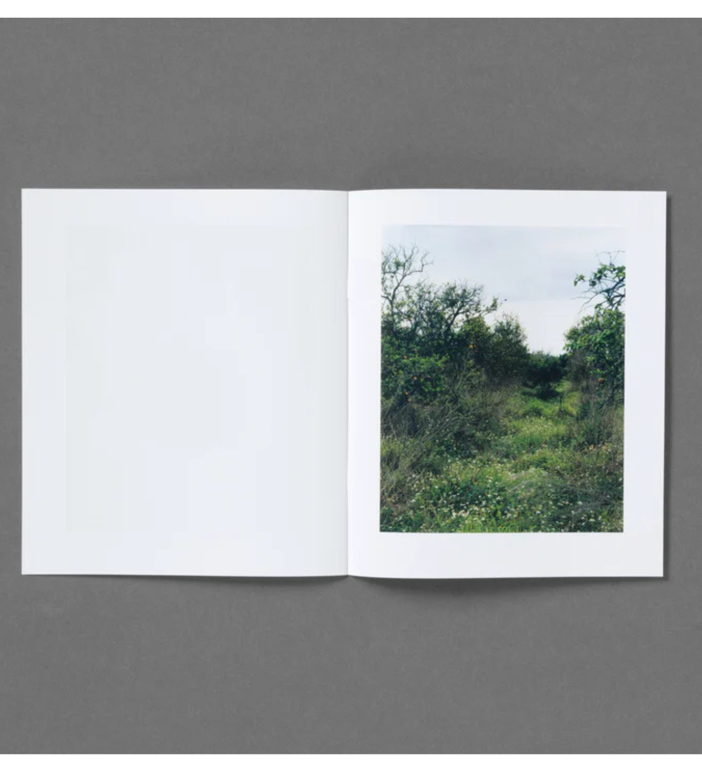 Roe Ethridge: In the Beginning