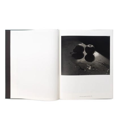 Don McCullin: The Stillness of Life