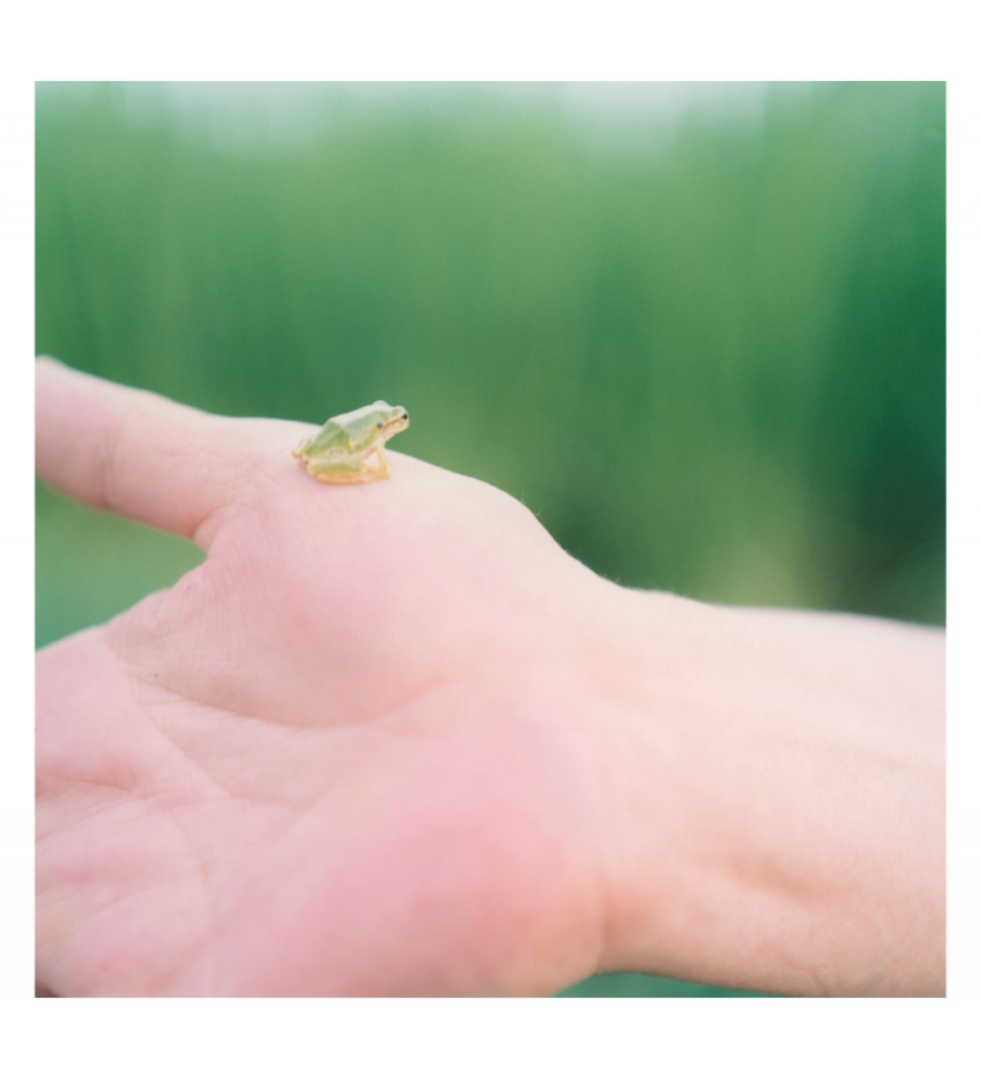 Rinko Kawauchi: At the edge of the everyday world