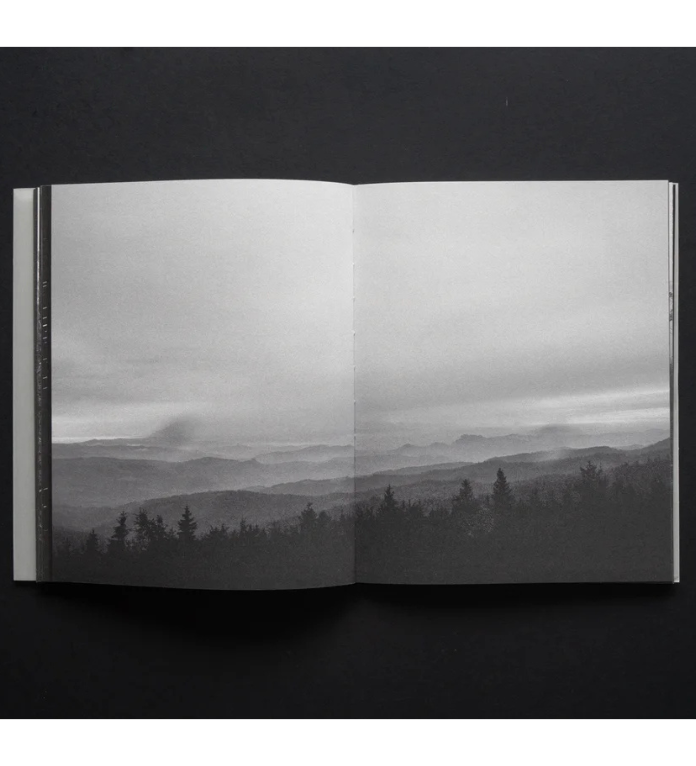 Maciej Forreiter and Jakub Szachnowski: RAREFIED