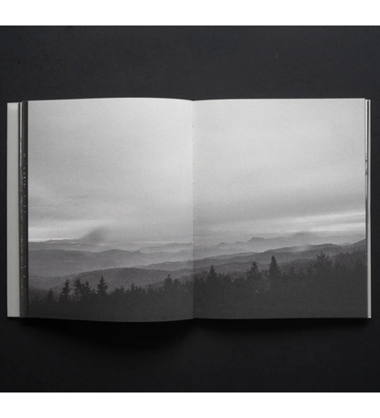 Maciej Forreiter and Jakub Szachnowski: RAREFIED