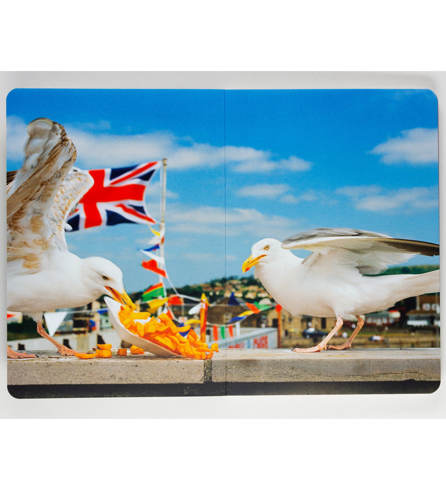 Martin Parr: Animals