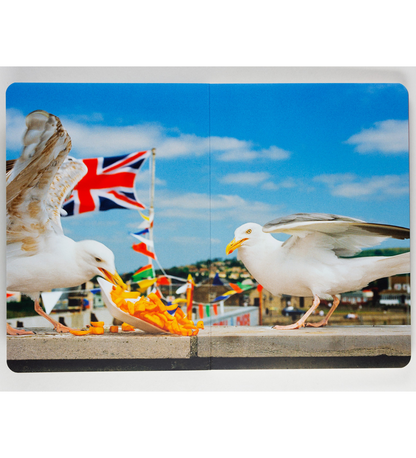 Martin Parr: Animals