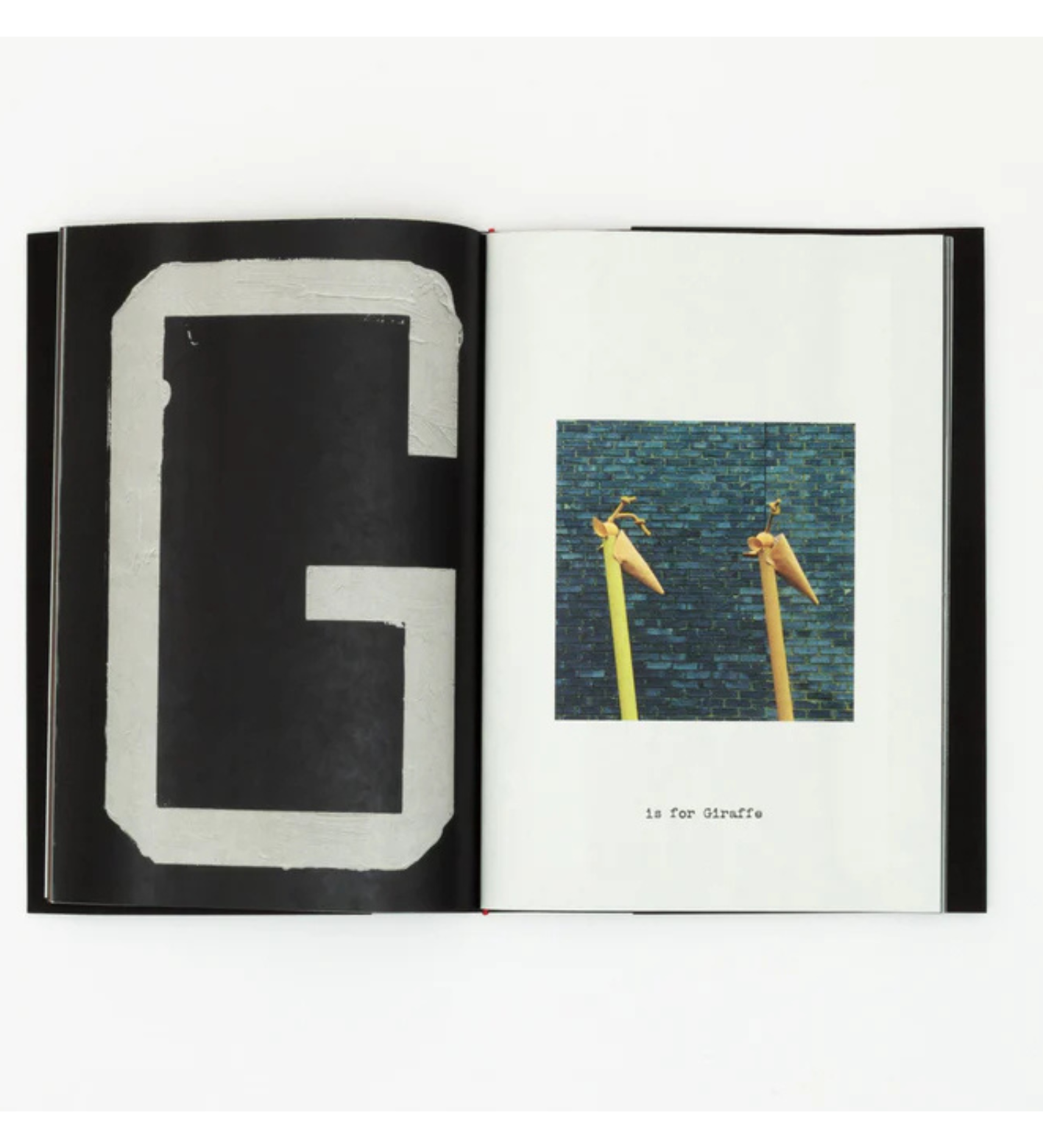 Jack Davison: A is for Ant Children's Edition (signed)