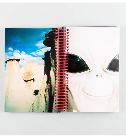 Louise Mutrel: DESERT GRILL DOLLAR TREE FOSSILS TRAP