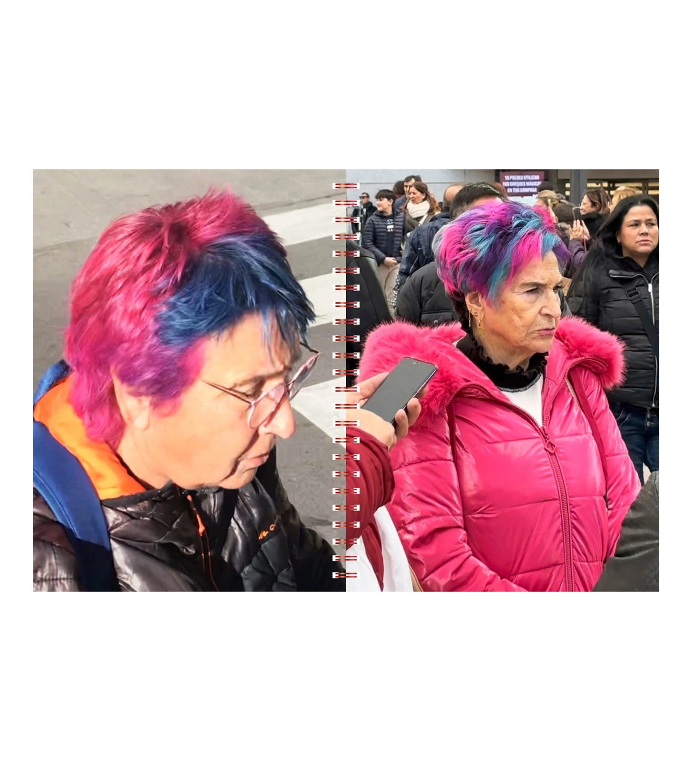 Ángela Suárez: Birds of Paradise