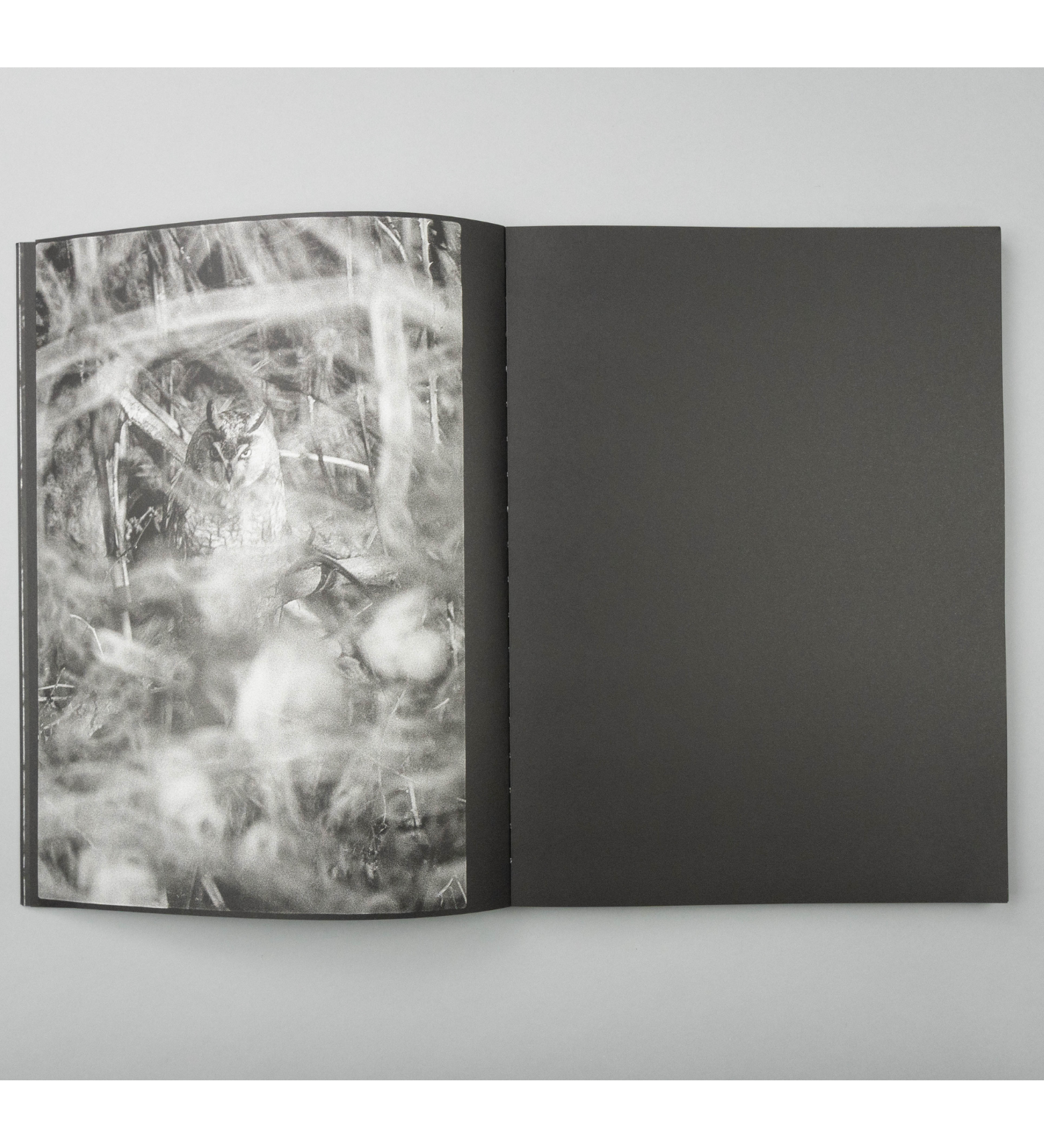 Marshall To: Blank Notes (pre-order signed copies)