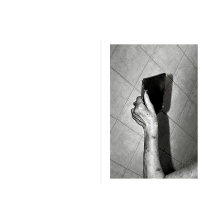Filippo Zambon: Goodbye Meadow