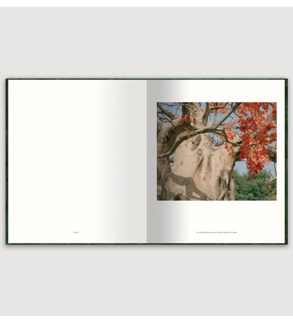 Zed Nelson: The Anthropocene Illusion (pre-order signed copies)