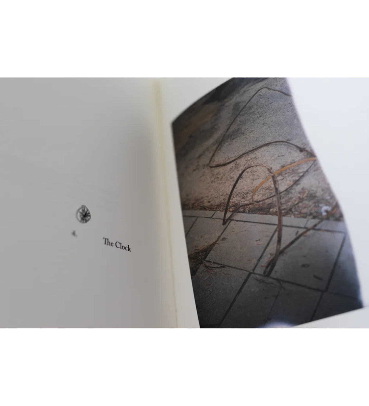 Antonina Gugała: Running to the Sun