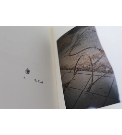 Antonina Gugała: Running to the Sun