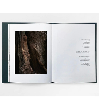 Henry Roy: The Land of Haunted Forests (with signed print)