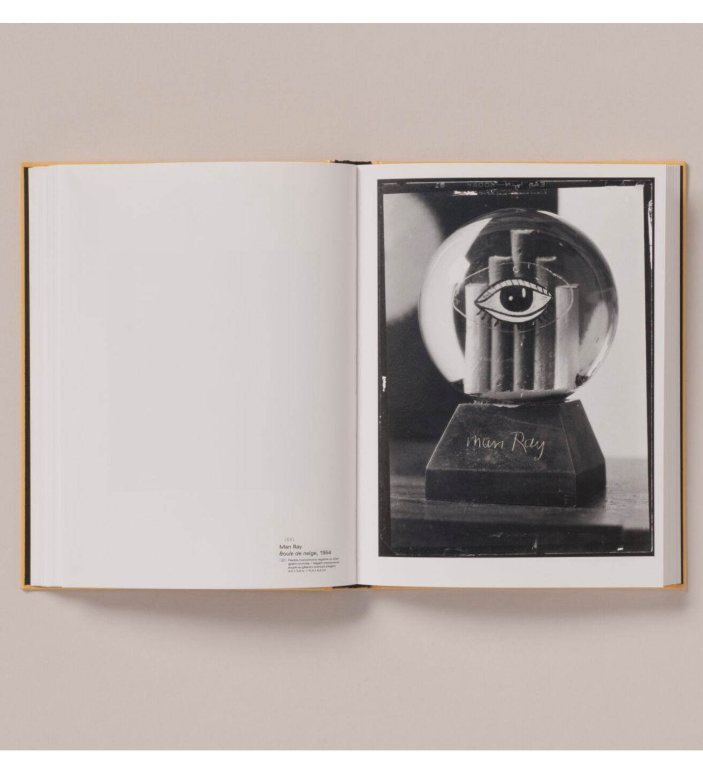 Cécile Poimbœuf-Koizumi & Stephen Ellcock: Clin d'œil