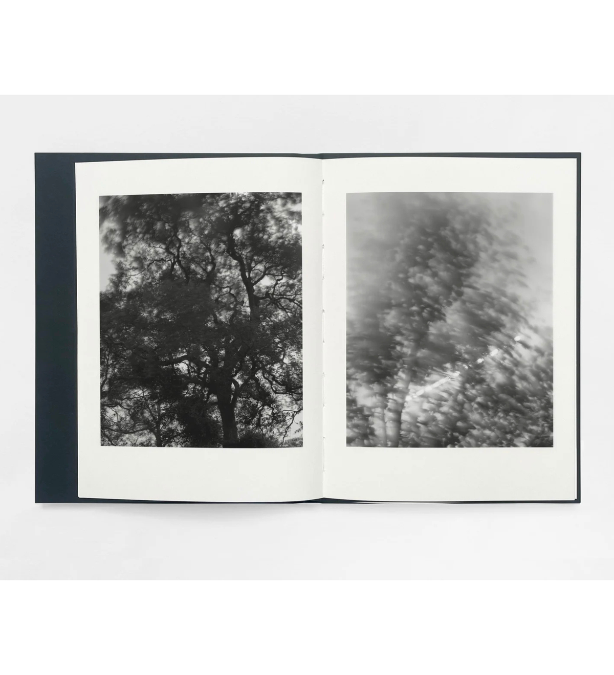 Sam Laughlin Sam Laughlin: Gathering Light (with signed print) – TPG Bookshop