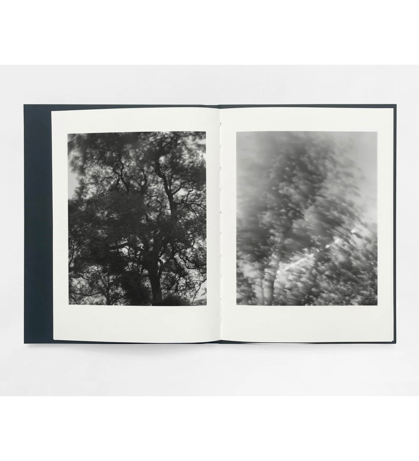 Sam Laughlin: Gathering Light (with signed print)