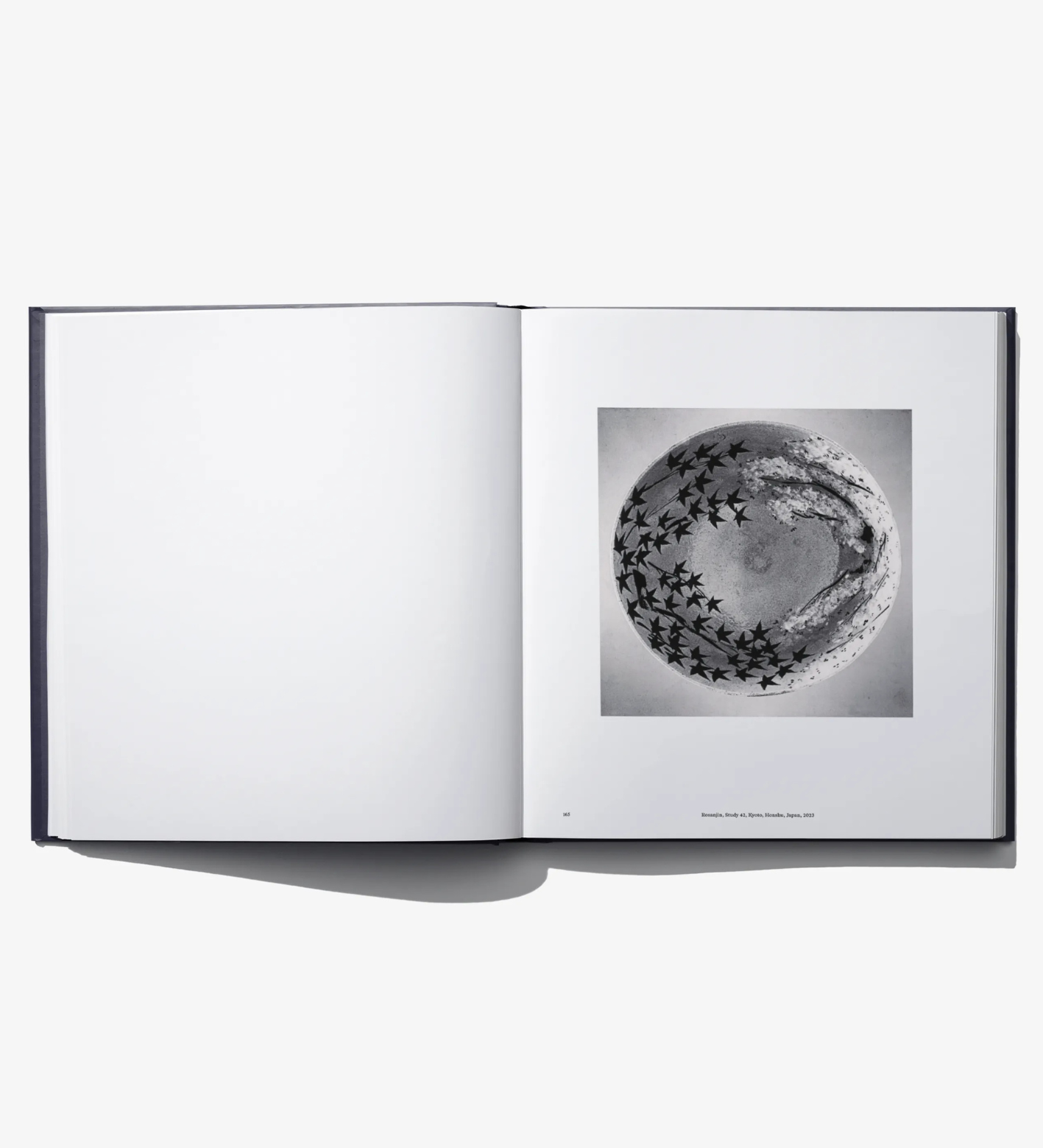 Michael Kenna: Constellation