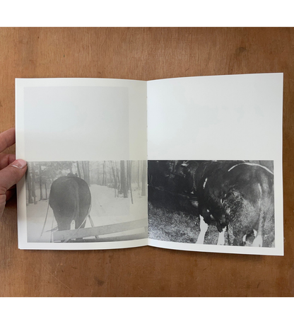 Anna Orłowska: Warm Mother Cold Mother