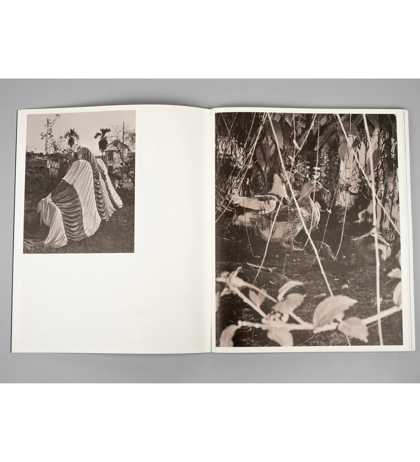 Bharat Sikka: Ripples in the Pond