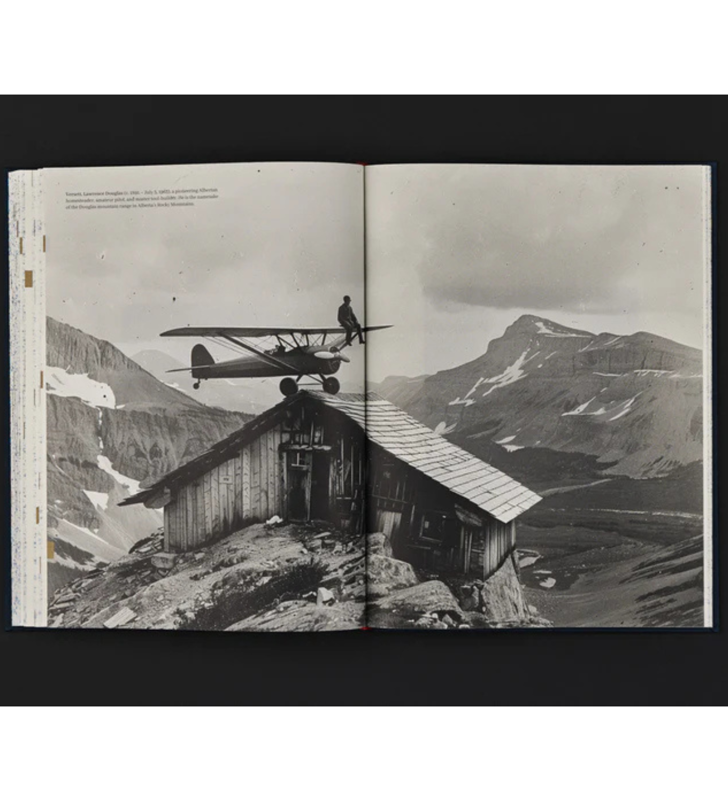 Weronika Gęsicka: Encyclopaedia