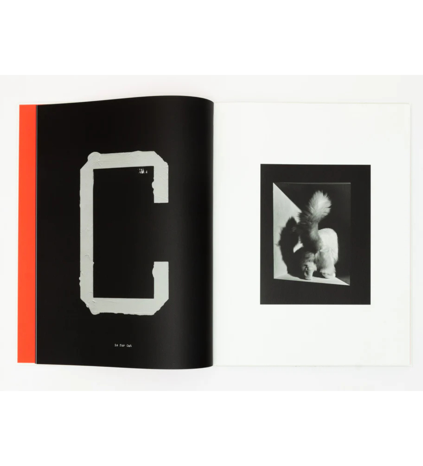 Jack Davison: A is for Ant (signed)