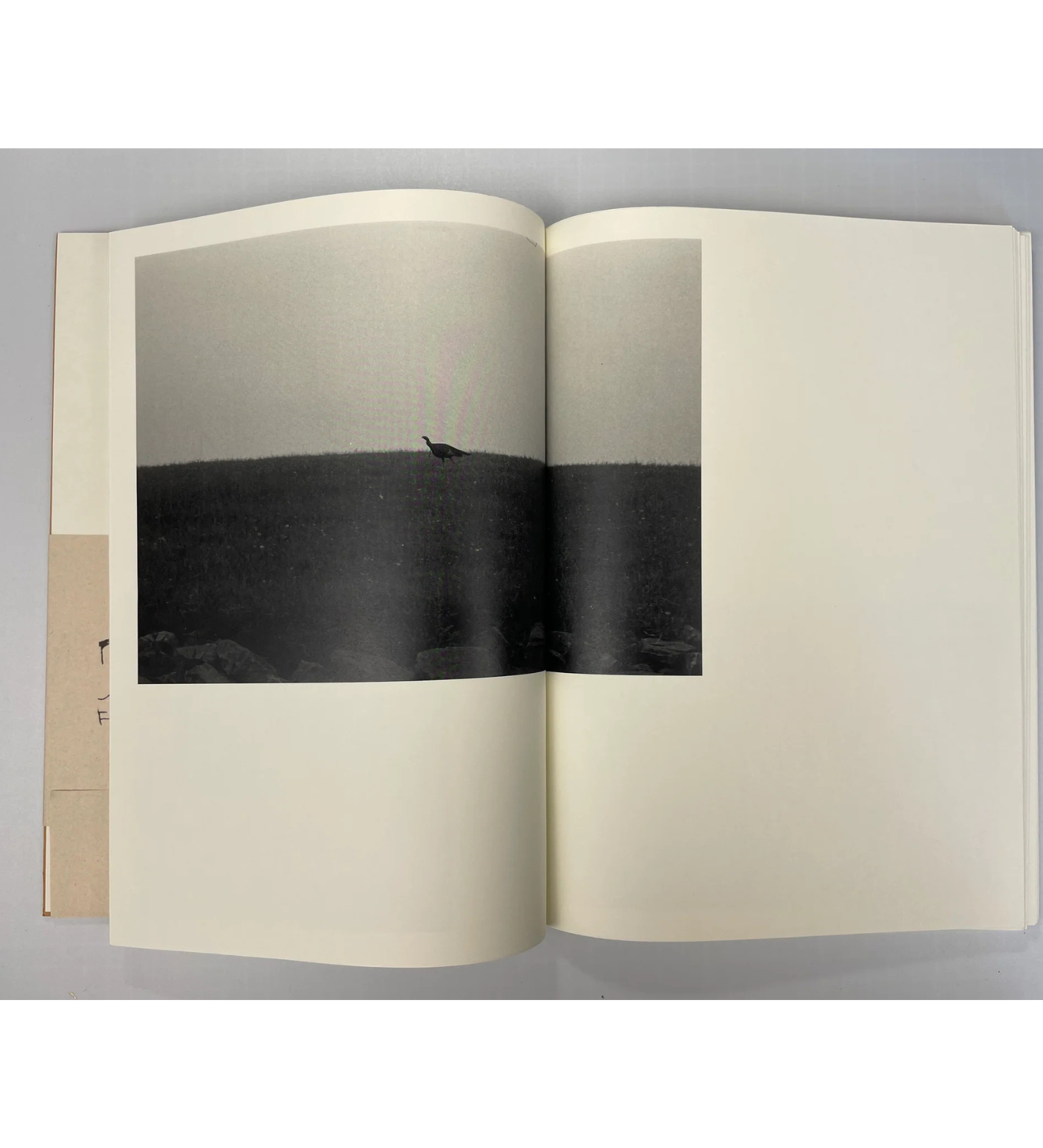 Reed Mattison: to and from (numbered with signed print)