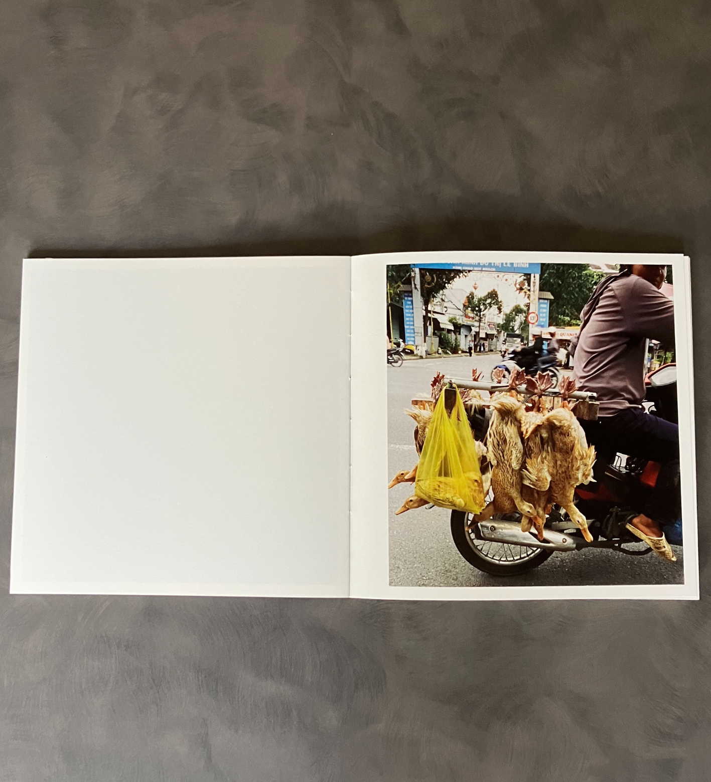 Lucas Eye: PICTURE THEM SHIVER (signed & numbered edition of 10)