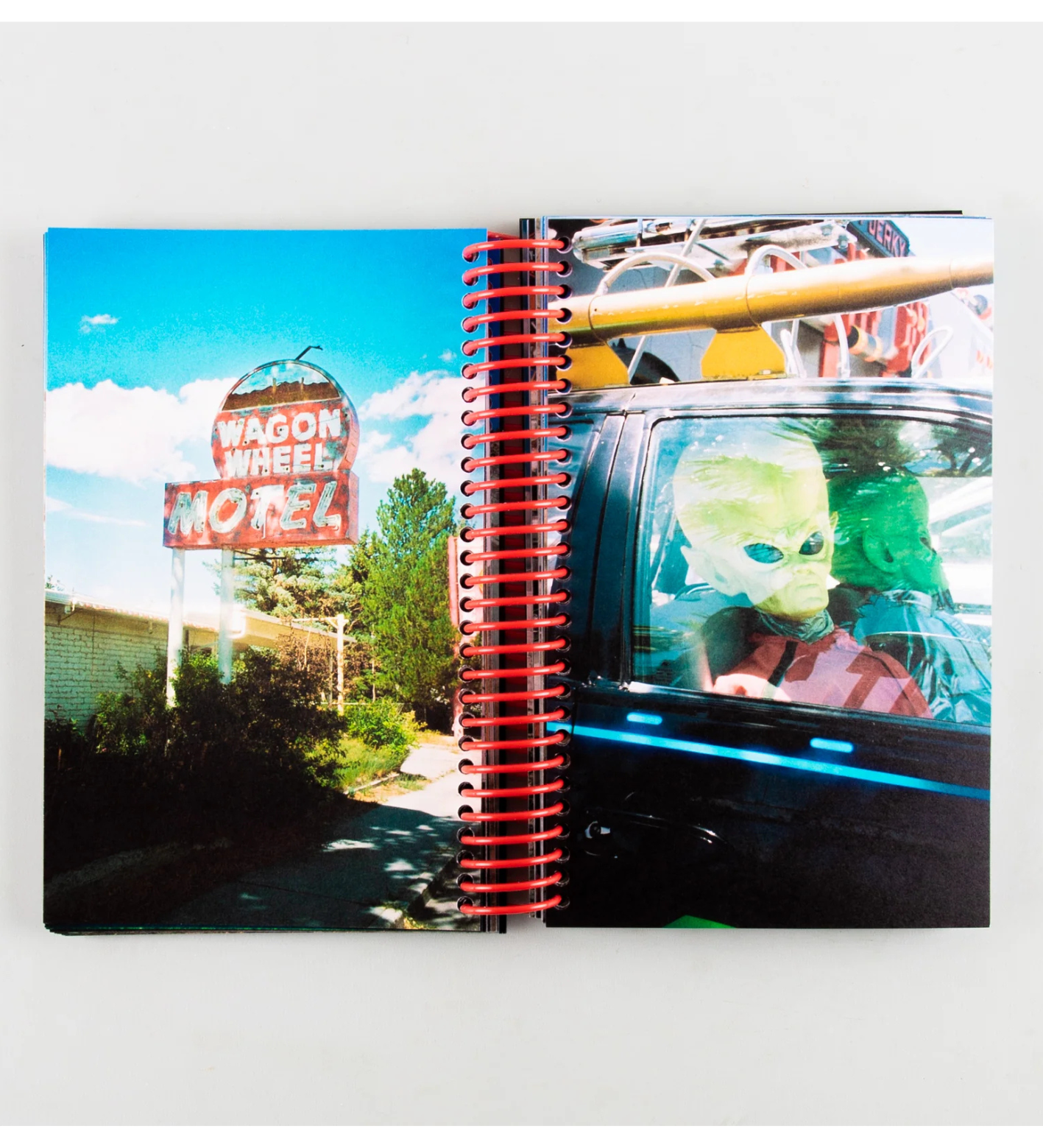 Louise Mutrel: DESERT GRILL DOLLAR TREE FOSSILS TRAP